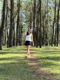 Mae Taeng – Into the Hills