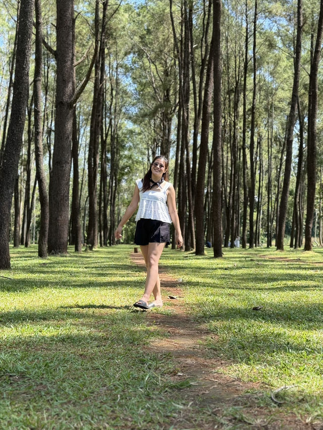 Mae Taeng – Into the Hills