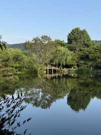 Discover Hangzhou’s Hidden Calm: Peaceful Escapes
