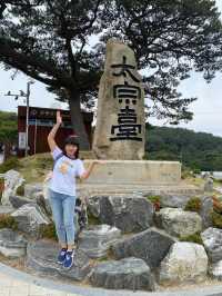 韓國🇰🇷釜山 太宗臺搭Danubi 小火車 六月來賞繡球花超值得！
