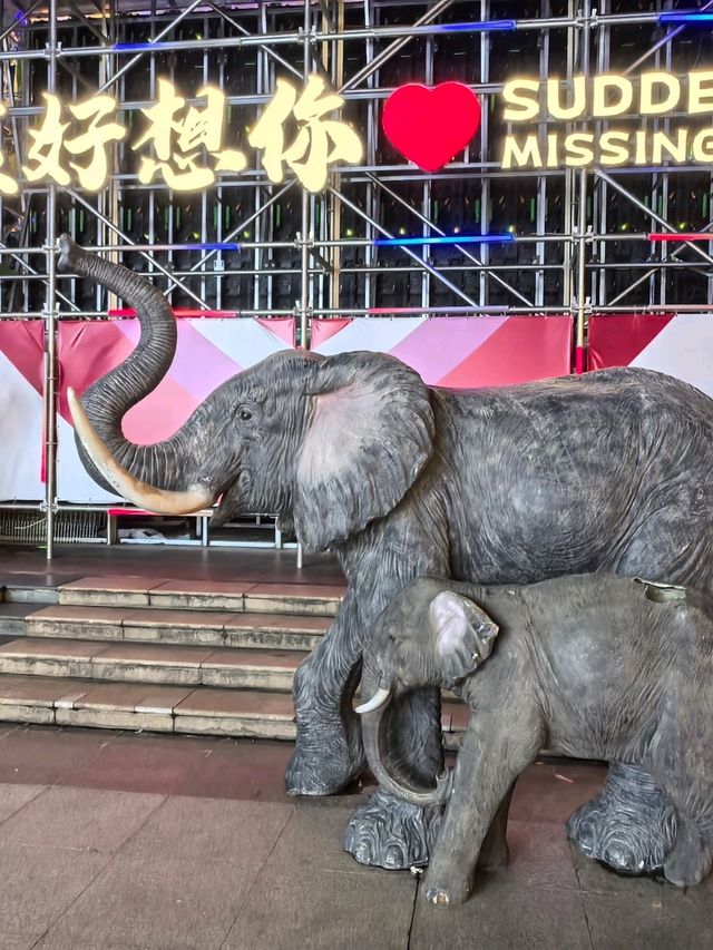 好酒不见 就来南宁 Nanning
