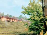 ลีไวน์รักไทย รีสอร์ท จ.แม่ฮ่องสอน 🛖🏞