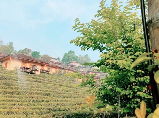 ลีไวน์รักไทย รีสอร์ท จ.แม่ฮ่องสอน 🛖🏞