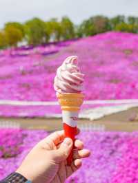 เทศการชิบะซากุระ Higashimokoto Shibazakura Park🌸