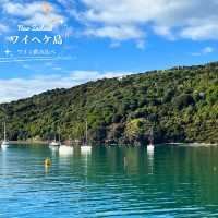 【NZ】🍷ワイヘケ島ワイナリー巡りと、虹と映画に出会えた一日🌈