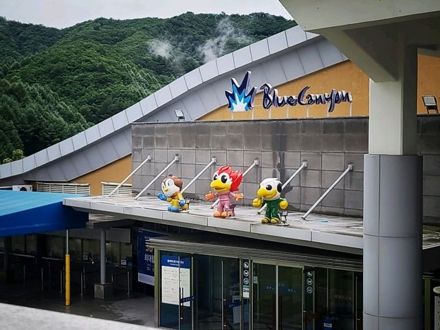 포레스트뷰 블루동 전객실 리뉴얼 [휘닉스평창]