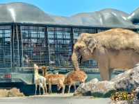 福岡 🦒🐘九州自然動物園 