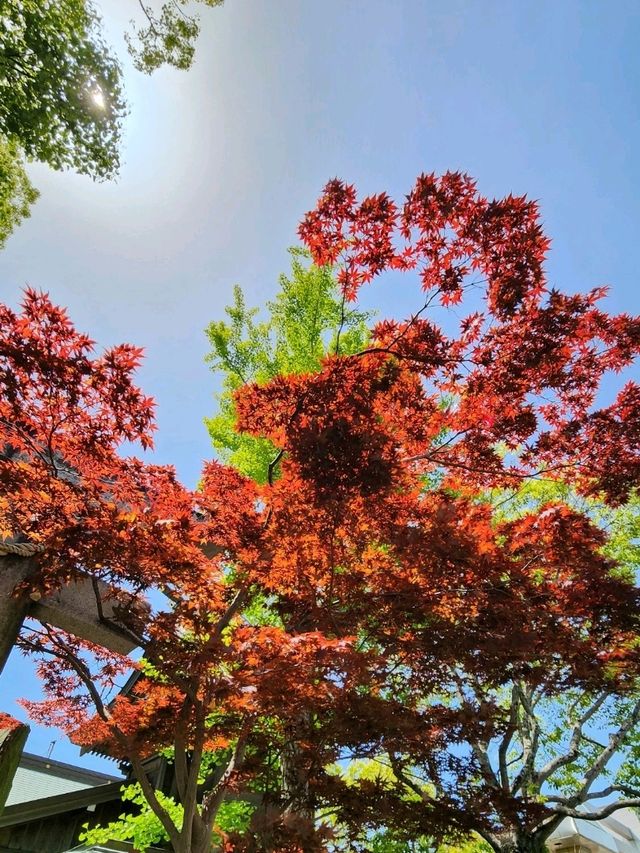 【山口グルメ】ボスティカフェ、中津瀬神社
