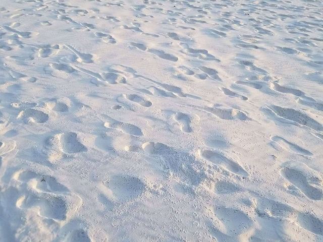 White sands, crystal-clear waters, and peaceful vibes at Koh Rong Island 🌴☀️