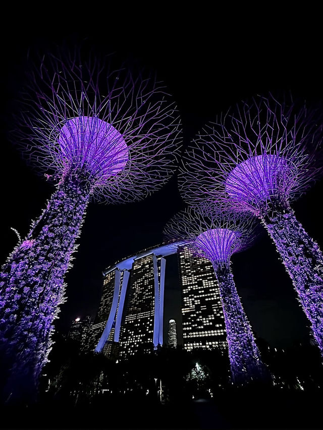 รีวิวเที่ยวสิงคโปร์ 4 วัน 3 คืน🇸🇬