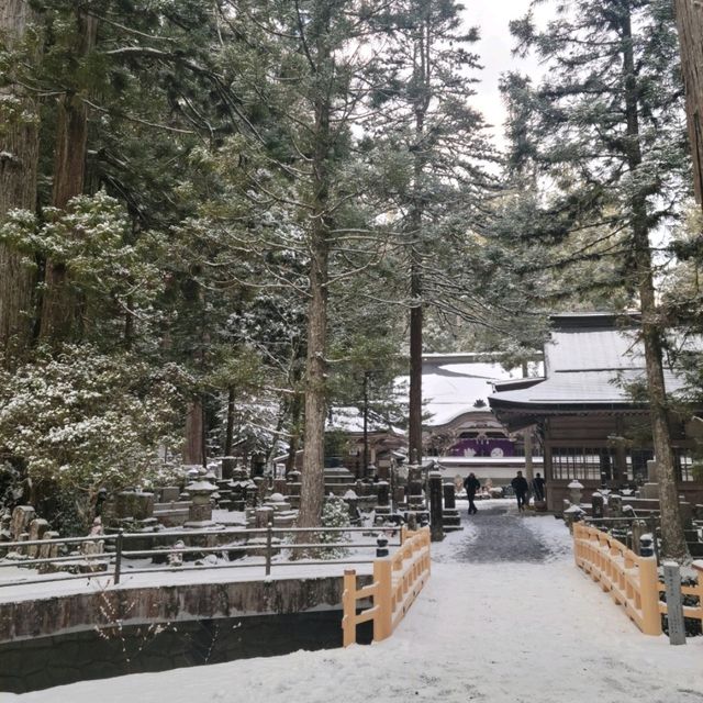 【高野山】奥ノ院