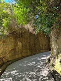 東京からすぐ行ける秘境🫣🌿豊かな自然と済んだ海の美しい無人島🏝