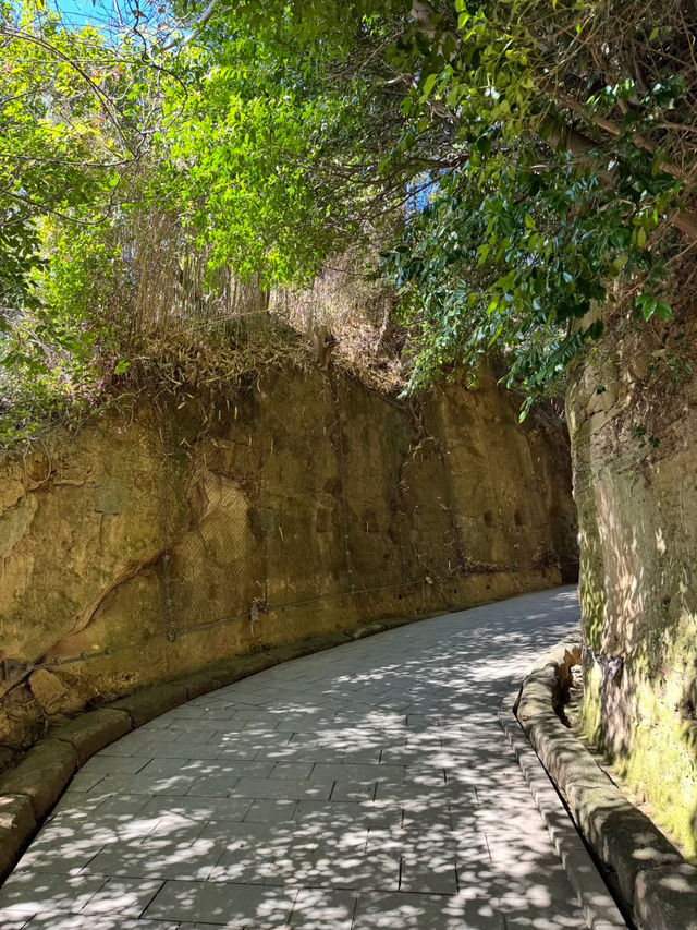 東京からすぐ行ける秘境🫣🌿豊かな自然と済んだ海の美しい無人島🏝