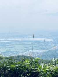 來場北投到陽明山的健走小旅行