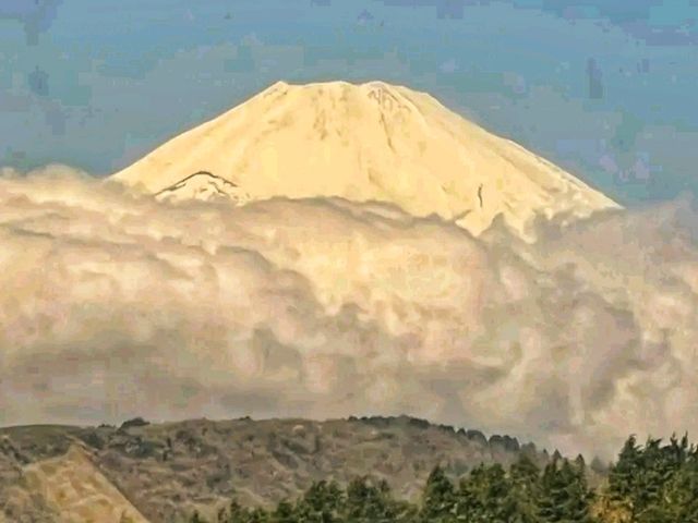 Kotohiragū – Climbing to the Spirit of the Sea