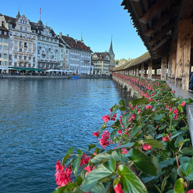🌉✨ Summer Escape to Chapel Bridge (Kapellbrücke), Lucerne: A Fairytale Walk Through History