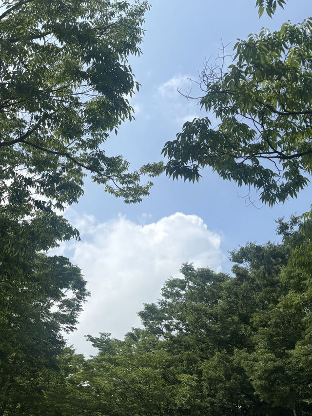 인천대공원 나들이 가보자!
