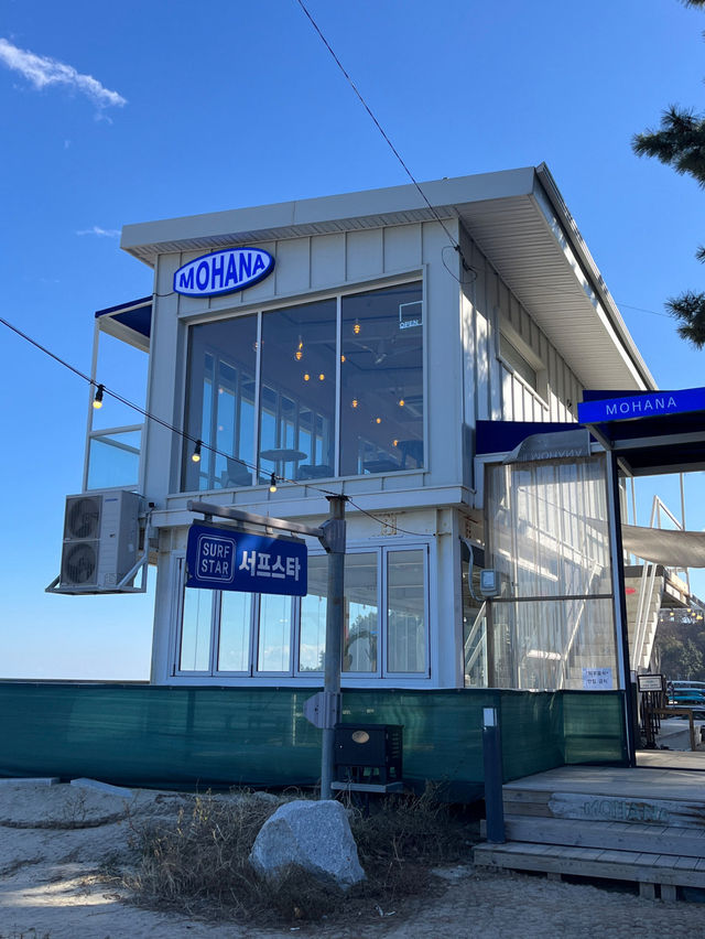 ⛵️🐚양양 잔교리 해변 모하나 카페