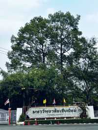 Favorite short hike in chiang mai