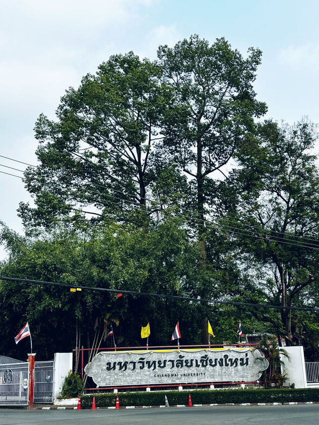 Favorite short hike in chiang mai