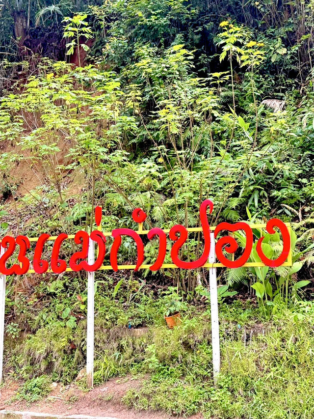 チェンマイから1時間半、山の中の癒し旅へ🌿村の時間が待っている。