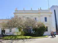 Heritage in the Details: A Launceston Stroll Through Time