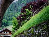 🌿 Lauterbrunnen: A Valley That Whispers in Waterfalls