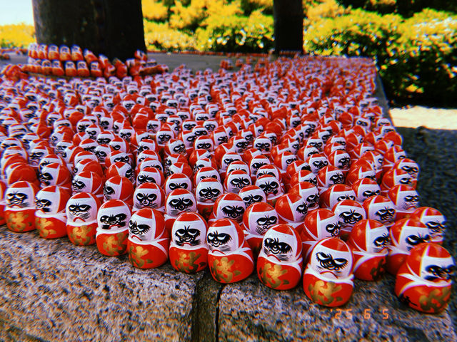 充滿達摩的勝尾寺 充滿達摩的勝尾寺