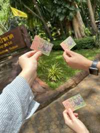⛰️ หุบป่าตาด ป่าดึกดำบรรพ์เมืองไทย