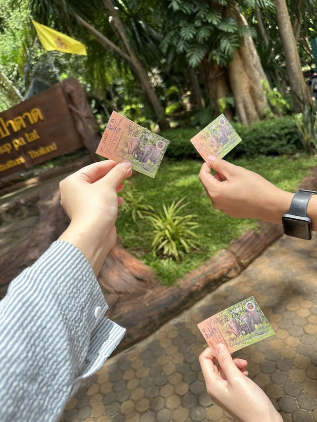 ⛰️ หุบป่าตาด ป่าดึกดำบรรพ์เมืองไทย