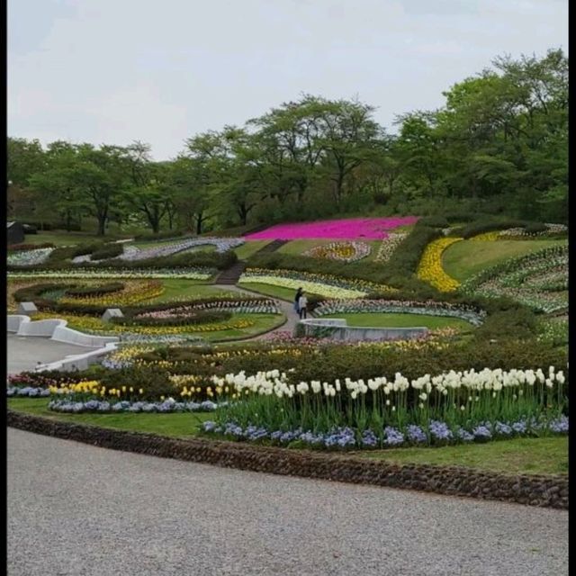 【宮城】国営みちのく杜の湖畔公園