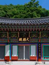 봄바람 속 고즈넉 데이트, 함안 장춘사 🌸