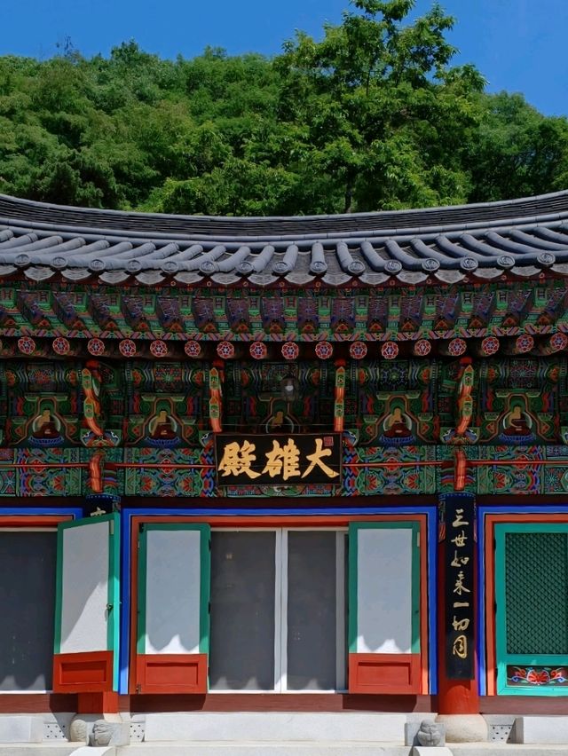 봄바람 속 고즈넉 데이트, 함안 장춘사 🌸