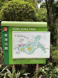 Hong Kong Park – A Lush Urban Sanctuary in Central
