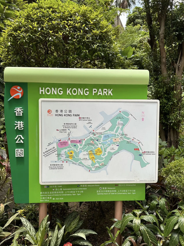 Hong Kong Park – A Lush Urban Sanctuary in Central