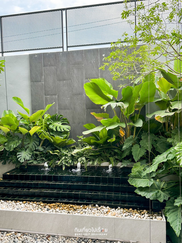 คาเฟ่ใกล้เมกาบางนา เปิดเช้ารับวันสบายๆ