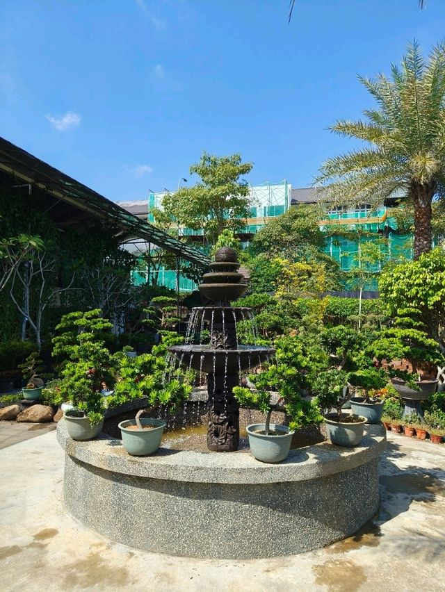 A Touch of Nature in the City – Budget Garden Spot in Hong Kong