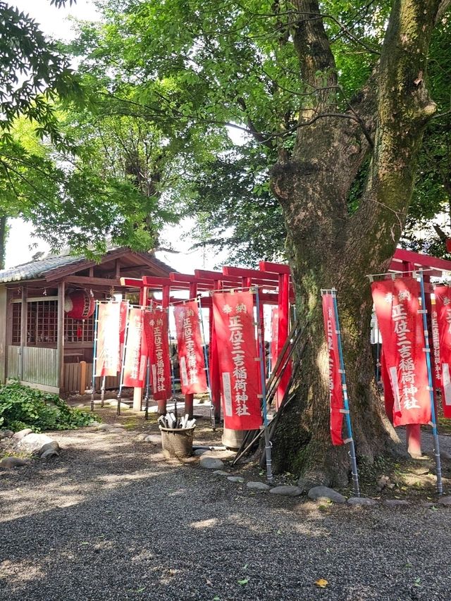 神明守護的水源小祠，伊勢市車站旁〔世木神社〕⛩️