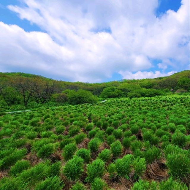 Korea's First Ramsar Wetland