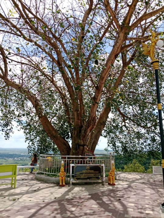 สักการะขอพร  🙏🙏🙏 พระพุทธมงคลมหาราช ที่หาดใหญ่