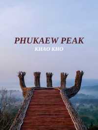 ที่นี่วิวดีทุกองศา at Phukaew Peak
