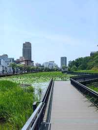 秋田免費景點～千秋公園