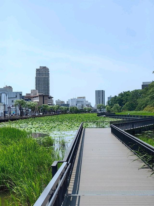秋田免費景點～千秋公園