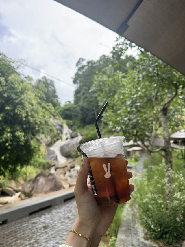 คาเฟ่เชียงใหม่ที่ไม่ควรพลาดต้องที่นี่ WTF Cafe ⛰️