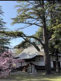 🏯長野・上田城｜真田氏ゆかりの歴史を感じる城跡