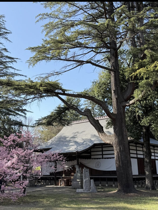 🏯長野・上田城｜真田氏ゆかりの歴史を感じる城跡