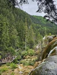 Ultimate Jiuzhaigou Valley Guide: China's Most Breathtaking UNESCO Paradise