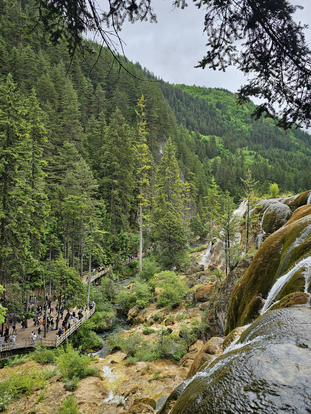 Ultimate Jiuzhaigou Valley Guide: China's Most Breathtaking UNESCO Paradise
