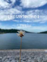 เขื่อนลำตะคอง