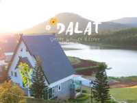 🌲 Dalat Wonder Resort 🌲